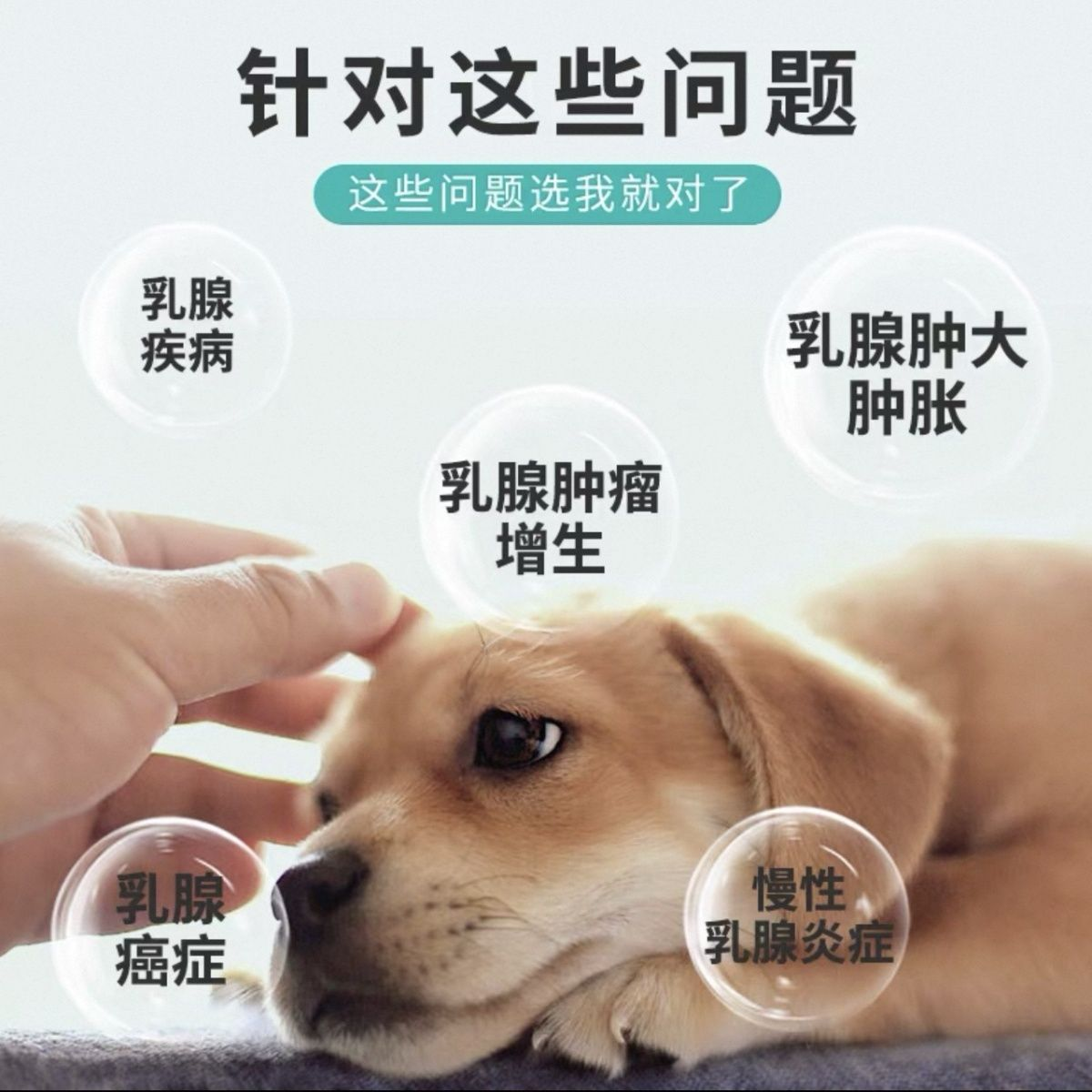 微信图片_20260604160242_3403_531.png